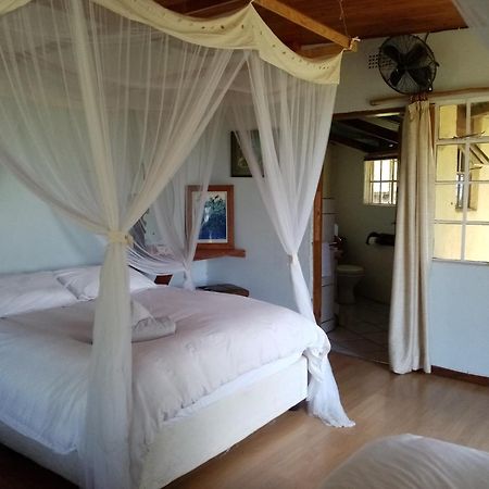 Bushwhacked Barberton Hotel Bilik gambar
