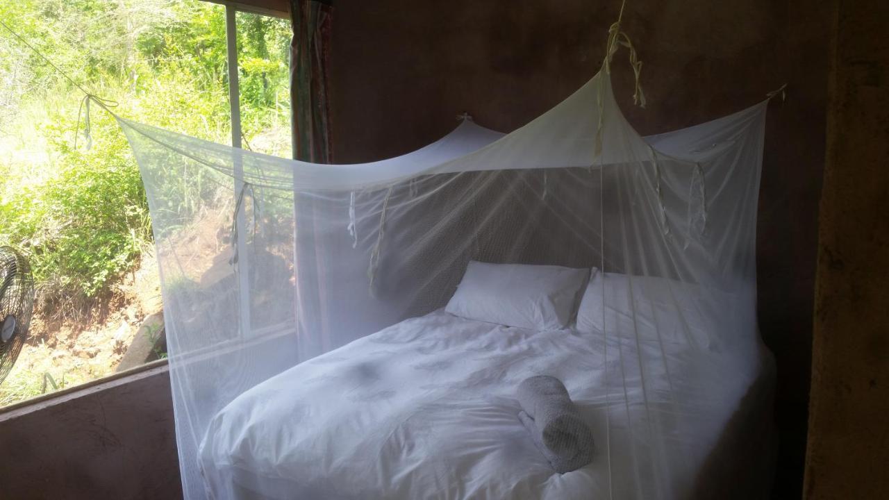 Bushwhacked Barberton Hotel Luaran gambar